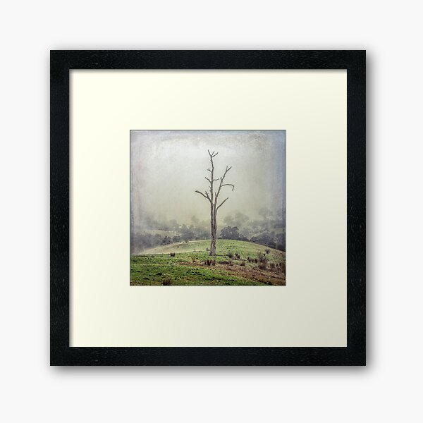 Acheron lone tree Framed Art Print