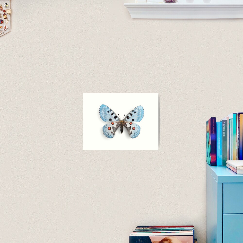 "Blue Butterfly, Aesthetic Butterflies * Supernatural" Art Print for