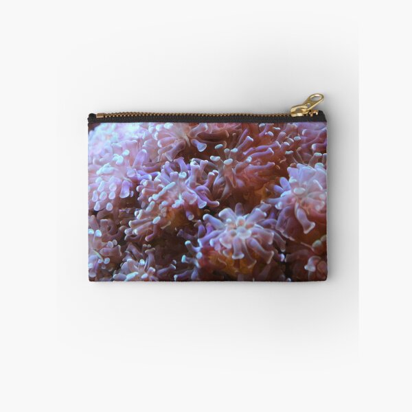 Item preview, More Pretty Anemones designed and sold by PhrozenPhotos.