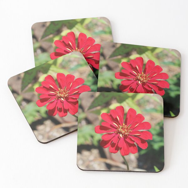 Item preview, Single Red Flower designed and sold by Cynthia48.
