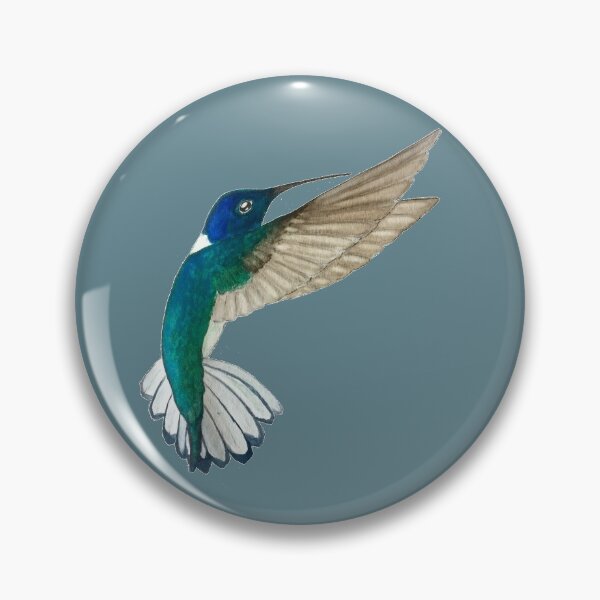 Item preview, White-necked Jacobin Hummingbird on Dark Grey  designed and sold by Christiane Dobbins.