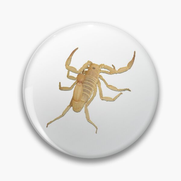 Artikelvorschau, Scorpion Arachnid Nettes Gesicht Tierliebhaber Scary Fun entworfen und verkauft von SumoShark.