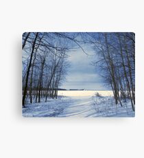 Wintertime At Sheldon Marsh Canvas Print