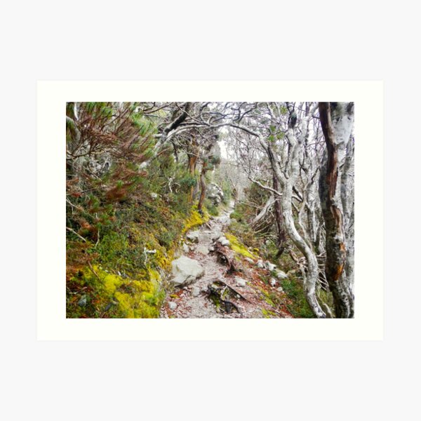 Winter Walk, Wilsons Promontory Art Print