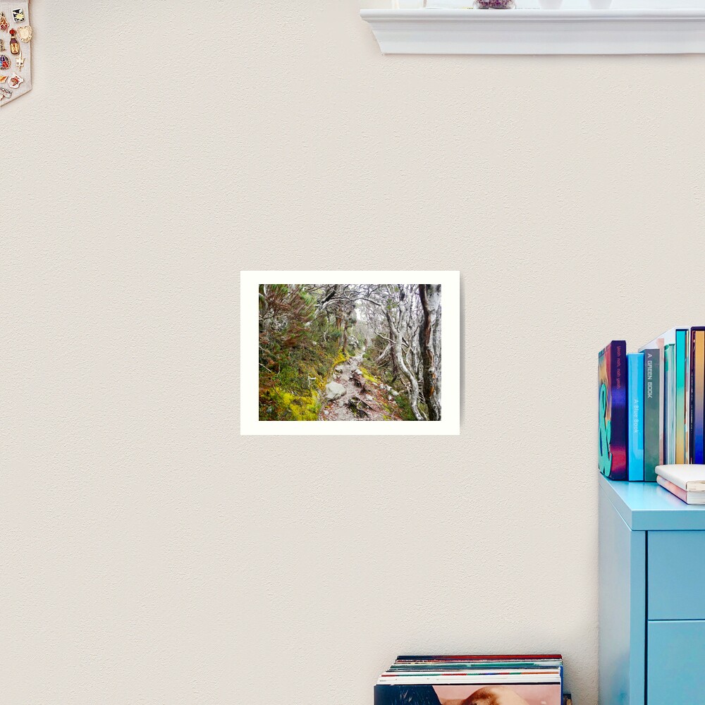 Winter Walk, Wilsons Promontory Art Print