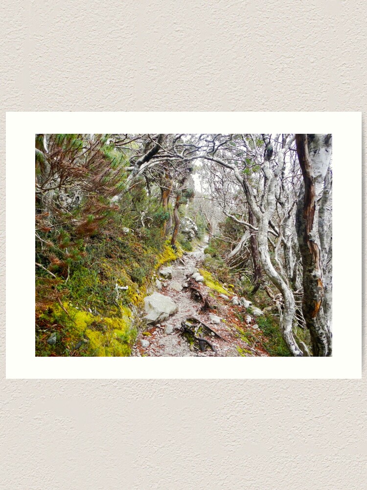 Alternate view of Winter Walk, Wilsons Promontory Art Print