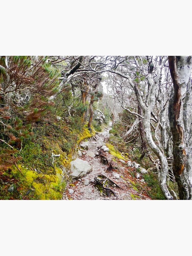 Winter Walk, Wilsons Promontory by ajdesignsau