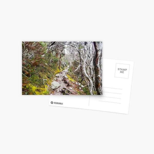 Winter Walk, Wilsons Promontory Postcard