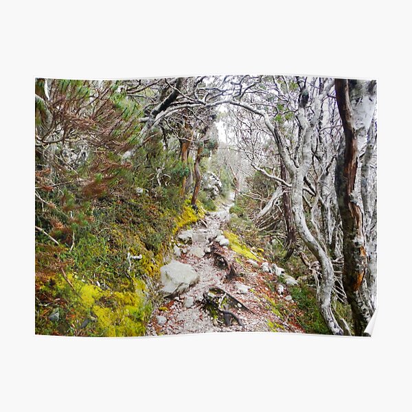 Winter Walk, Wilsons Promontory Poster