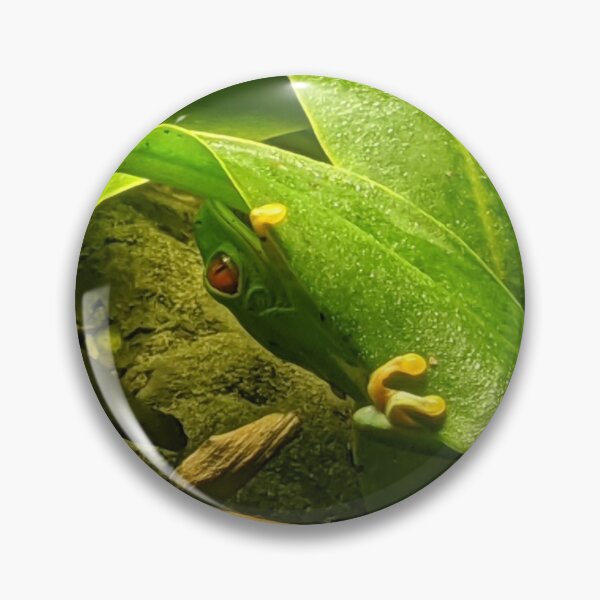 Item preview, Red Eyed Tree Frog designed and sold by naturegirf.