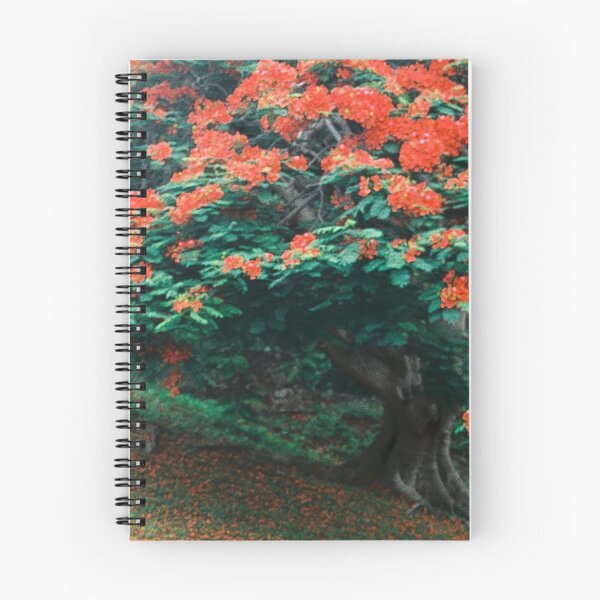 Item preview, Flamboyant Tree designed and sold by BissyCollective.