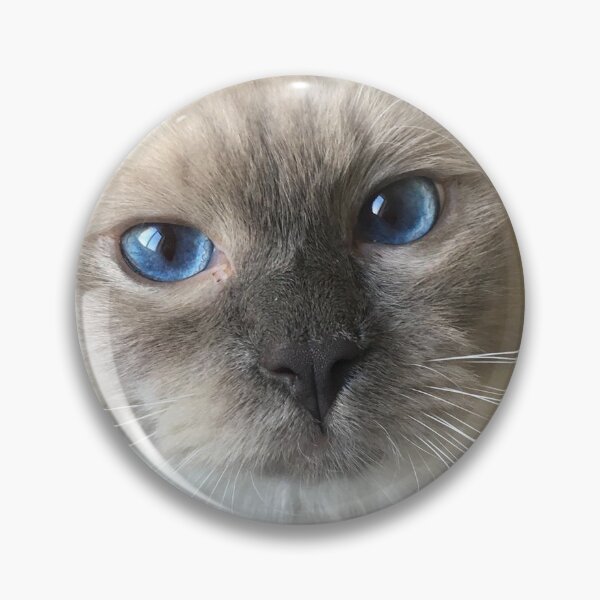 Item preview, Ragdoll Echo designed and sold by Nigelseanberry.