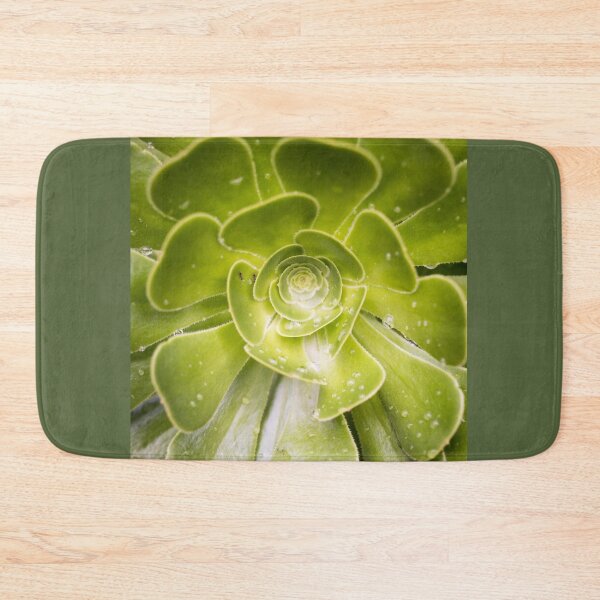 Item preview, Green Succulent Plant - Two Ants And A Flat Earth designed and sold by Photoluminous.