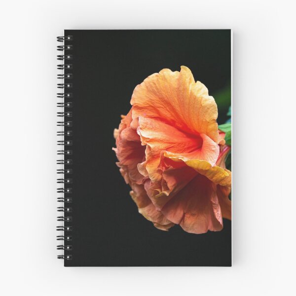 Item preview, Hibiscus 2020-1 designed and sold by Thomasyoung.