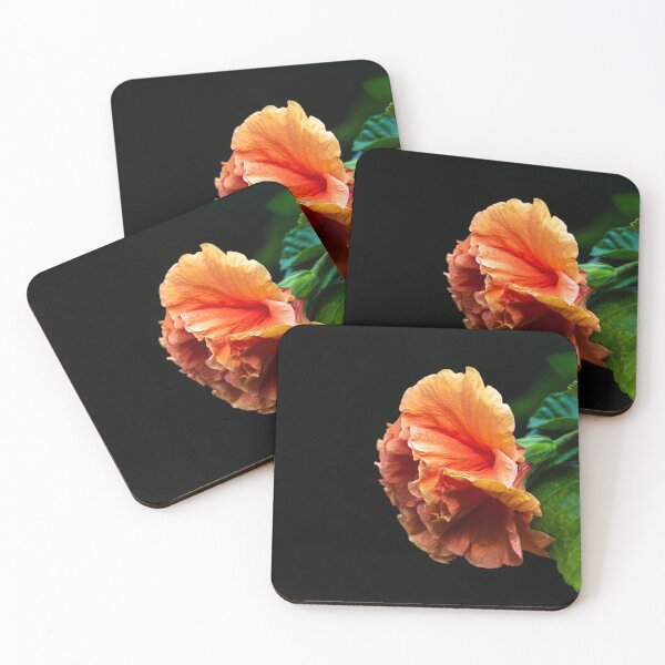 Item preview, Hibiscus 2020-1 designed and sold by Thomasyoung.