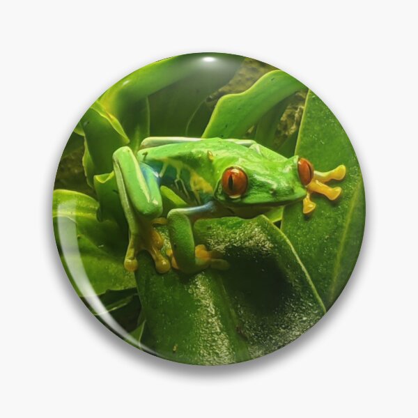 Item preview, Red Eyed Tree Frog designed and sold by naturegirf.