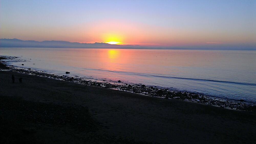 "West Beach, Whidbey Island, WA" by lpmag75 Redbubble