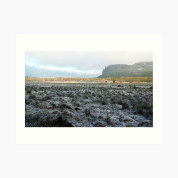 Morning Frost, Mt Oakleigh, The Overland Track Art Print
