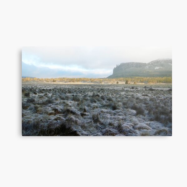 Morning Frost, Mt Oakleigh, The Overland Track Metal Print