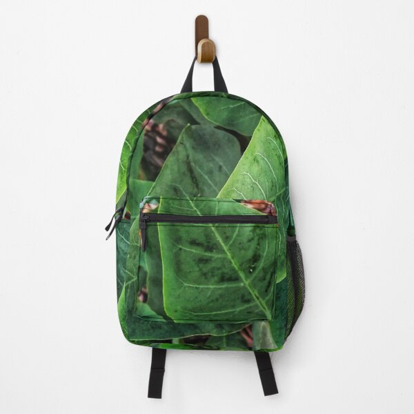 Item preview, green leafy plant designed and sold by To-the-T.