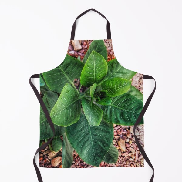 Item preview, green leafy plant designed and sold by To-the-T.