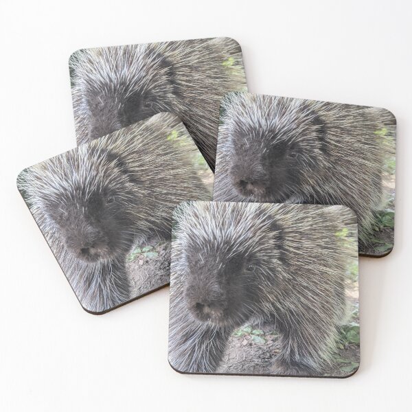 Item preview, Porcupine designed and sold by naturegirf.