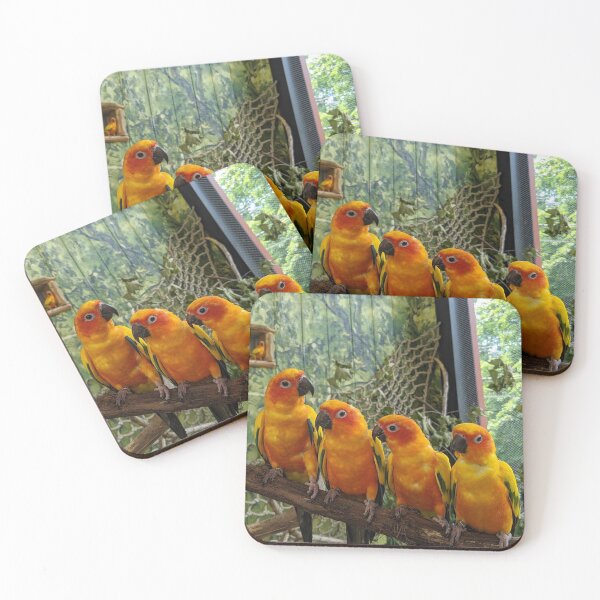 Item preview, Sun Conures designed and sold by naturegirf.
