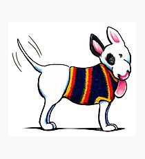 Bull Terrier in Blue Photographic Print