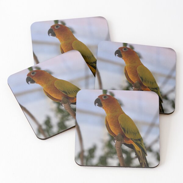 Artikelvorschau, Sun Conure entworfen und verkauft von naturegirf.