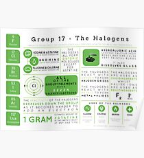 Element Infographics: The Halogens Poster
