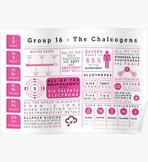 Element Infographics: The Chalcogens Poster