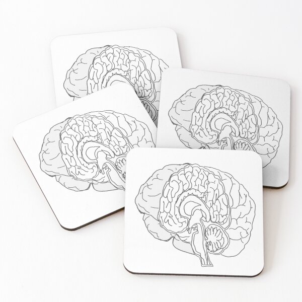 Item preview, detailed brain designed and sold by NeuroNotes.