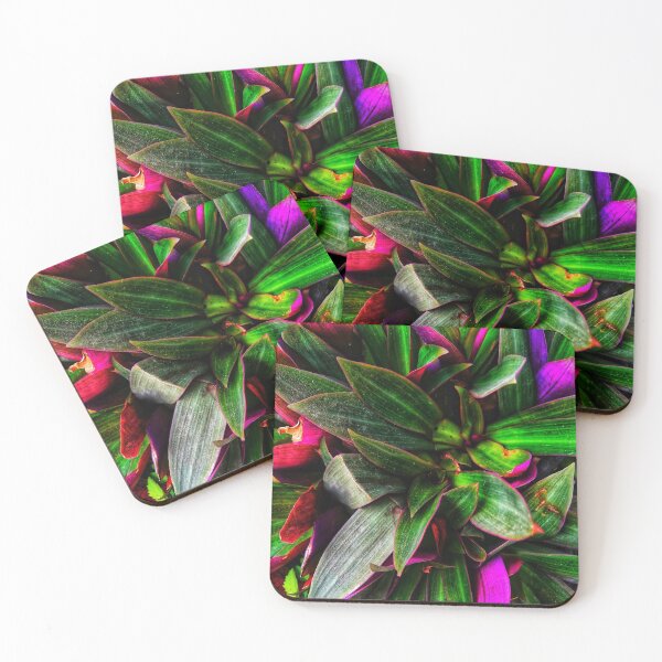 Item preview,  leafy plant with vibrant colors designed and sold by To-the-T.