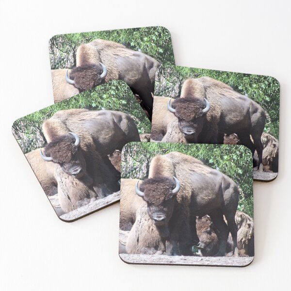 Item preview, WHERE THE BUFFALO ROAM designed and sold by BOLLA67.