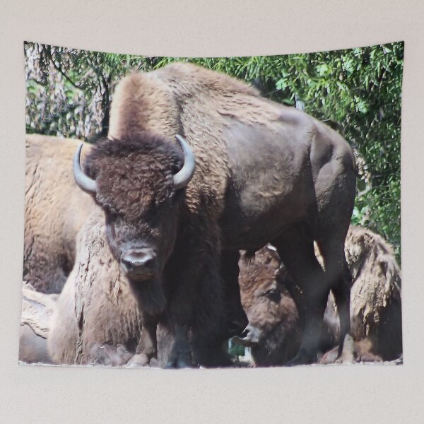 Item preview, WHERE THE BUFFALO ROAM designed and sold by BOLLA67.