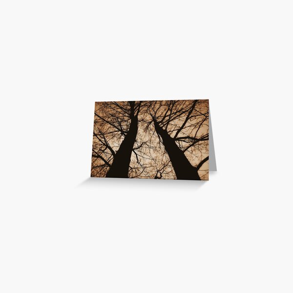 Looking up... Greeting Card