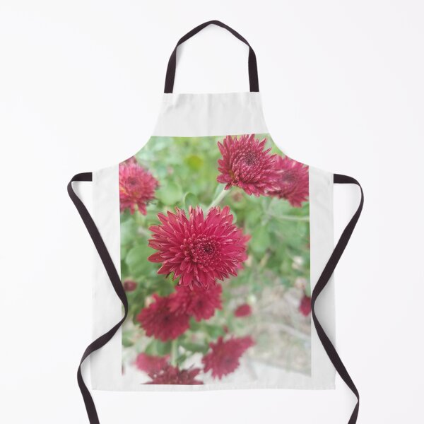 Item preview, Mums designed and sold by David D. Shaw.