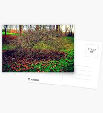 Touch of colour... Postcards