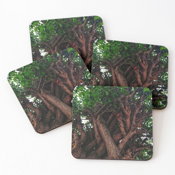 Item preview, tangled tree  designed and sold by To-the-T.