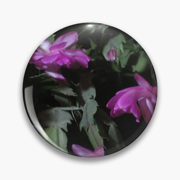 Item preview, Christmas Cactus designed and sold by David D. Shaw.
