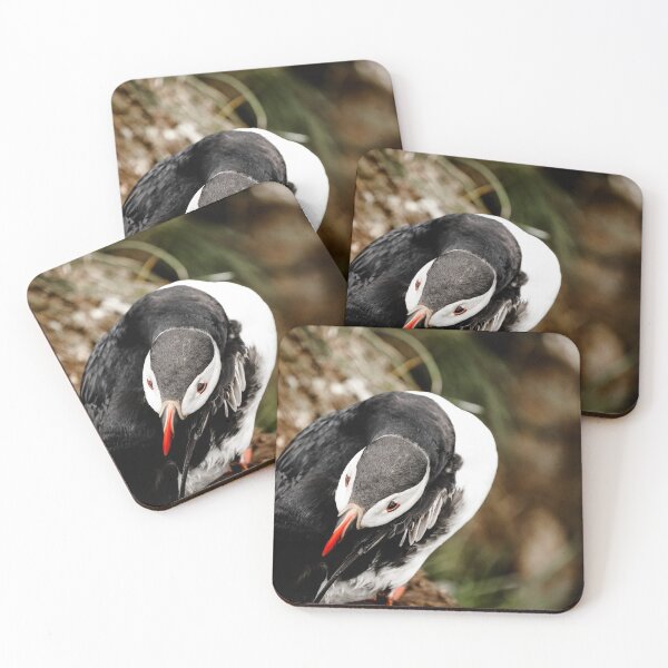 Item preview, Puffin Preening designed and sold by Art As Air Project.