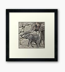 Such a good boy Framed Print