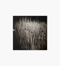 { reeds } Art Board