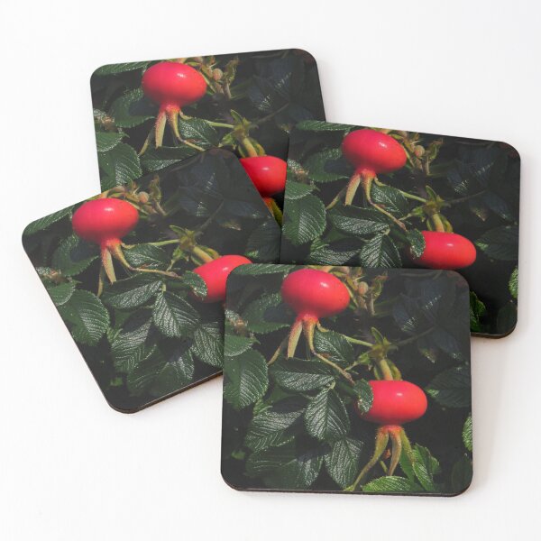 Item preview, Rose Hips designed and sold by wiggyofipswich.