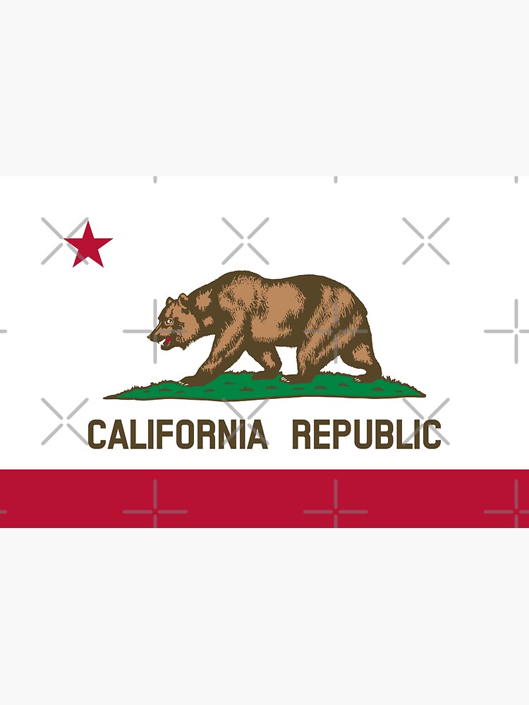 Flag of California Republic / CA / Cali / Californian Official State Flag (USA) by states