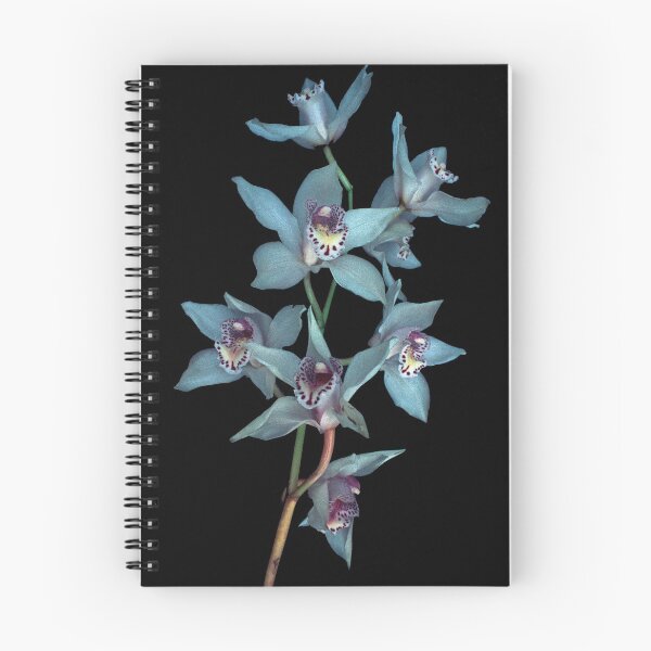 Item preview, orchids designed and sold by Juilee Pryor.