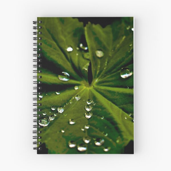 Item preview, Leaf Covered in Raindrops designed and sold by ADM Photography.