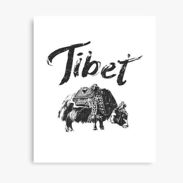 Tibet Yak Tibetan Canvas Print