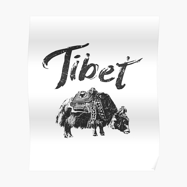 Tibet Yak Tibetan Poster