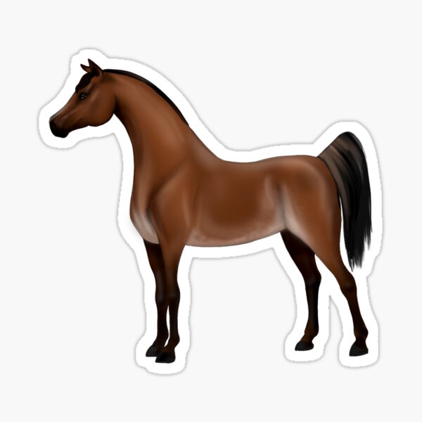 shipping 2 x Auto Aufkleber ARABER Pferd 2x Car Sticker Arabian Horse ww 